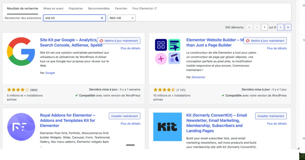 Sélectionner l'extension plugin Site Kit pour facilement intégrer Analytics à wordpress sans être expert